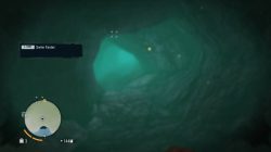 Far Cry 3 Mushrooms in the Deep