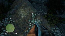 Far Cry 3 Mushrooms in the Deep