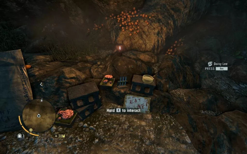 Far Cry 3 The Social Club