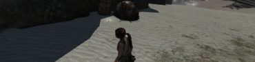 Tomb Raider Mine Sweeper challenge