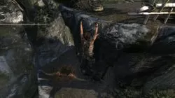 Tomb Raider Egg Poacher Challenge