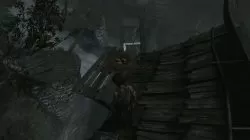 Tomb Raider Egg Poacher Challenge