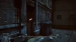 dog tag visible
