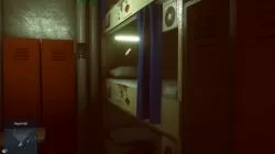 bed bunk