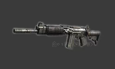 cod assault rifle