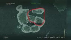 ocelot location