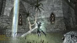 eso In the fort just around the way skyshard