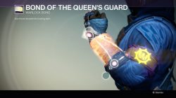 Bond of the Queen’s Guard, Warlock