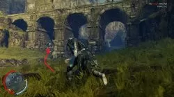 Fern Outskirts Shadow of Mordor Ithildin