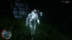 Fern Outskirts Shadow of Mordor Ithildin