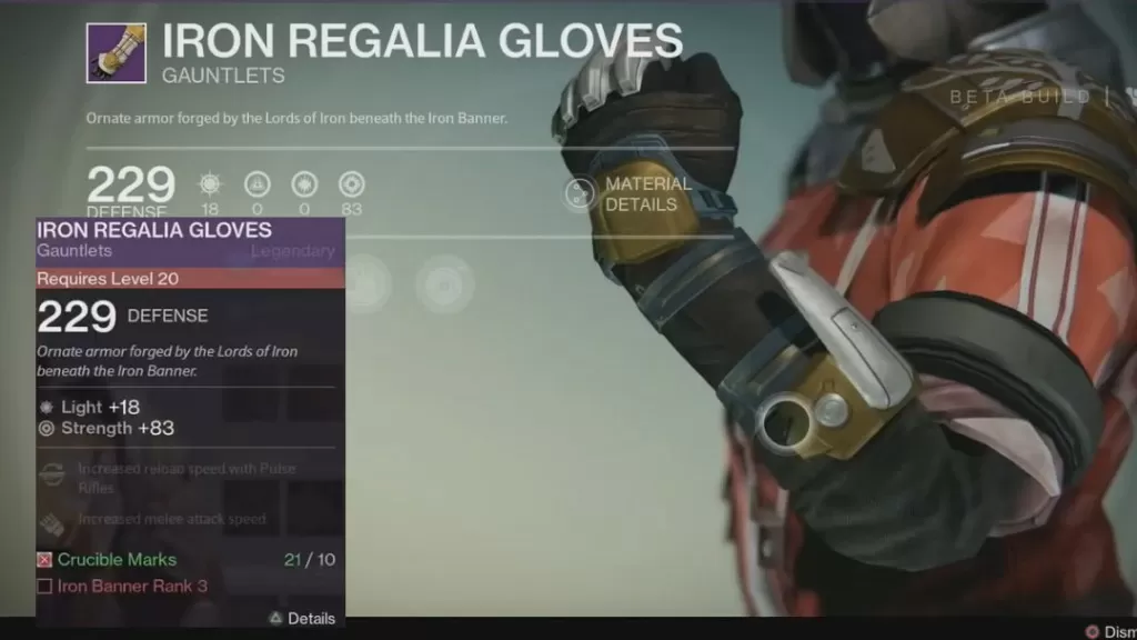 warlock iron regalia gloves