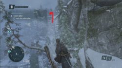 Assassin's Creed Rogue Aarushi Native Pillar Totem