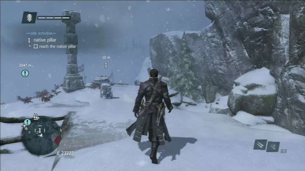 Assassin's Creed Rogue Aarushi Native Pillar Totem