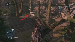 Assassin's Creed Rogue Blueprint Elite Puckle Gun Cylinder Size