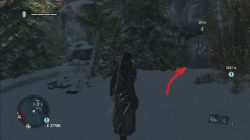Assassin's Creed Rogue Coeur-de-I'hiver Cave Painting