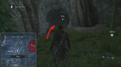 Assassin's Creed Rogue Dekanawida 2 Cave Painting