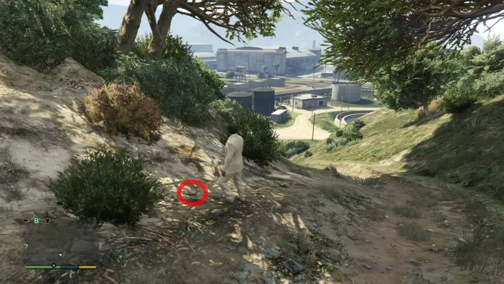 Grand Theft Auto 5 Zancudo Peyote Plant Location