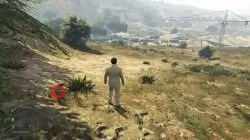 GTA 5 Grand Senora Desert 2 Peyote Plant Location