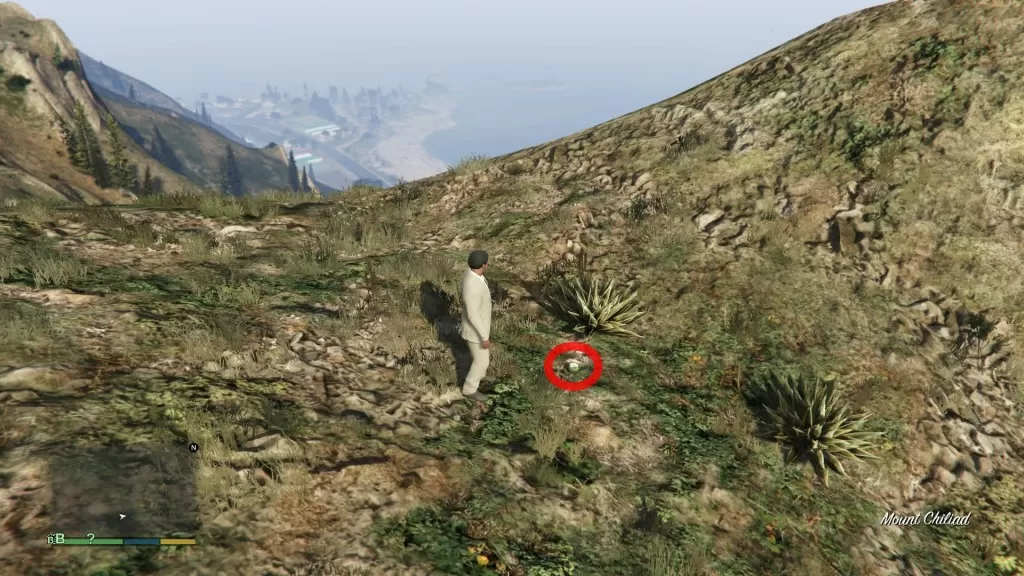 GTA 5 Mount Chiliad Peyote Plant Location