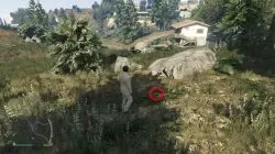 GTA 5 Vinewood Hills Peyote Plant Location