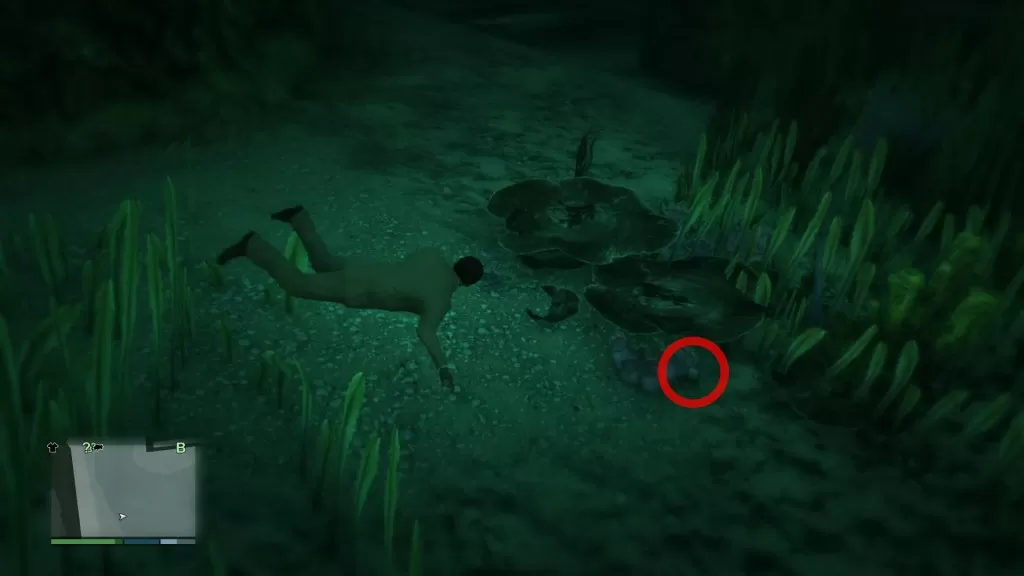 GTA V Lost Santos International Airport Peyote Plant Location