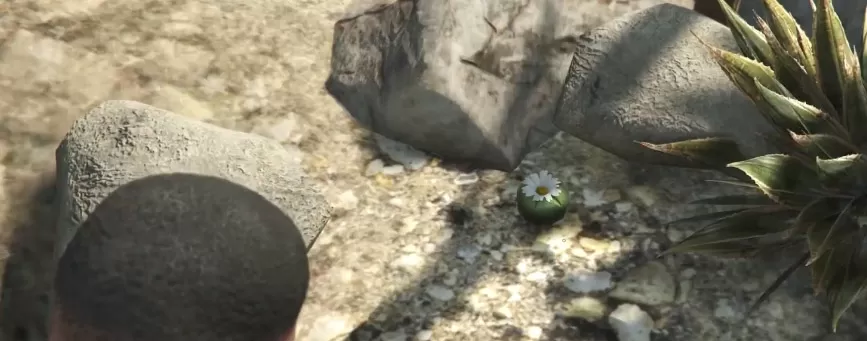 gta 5 Peyote Plants