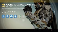 Young ahamkaras spine