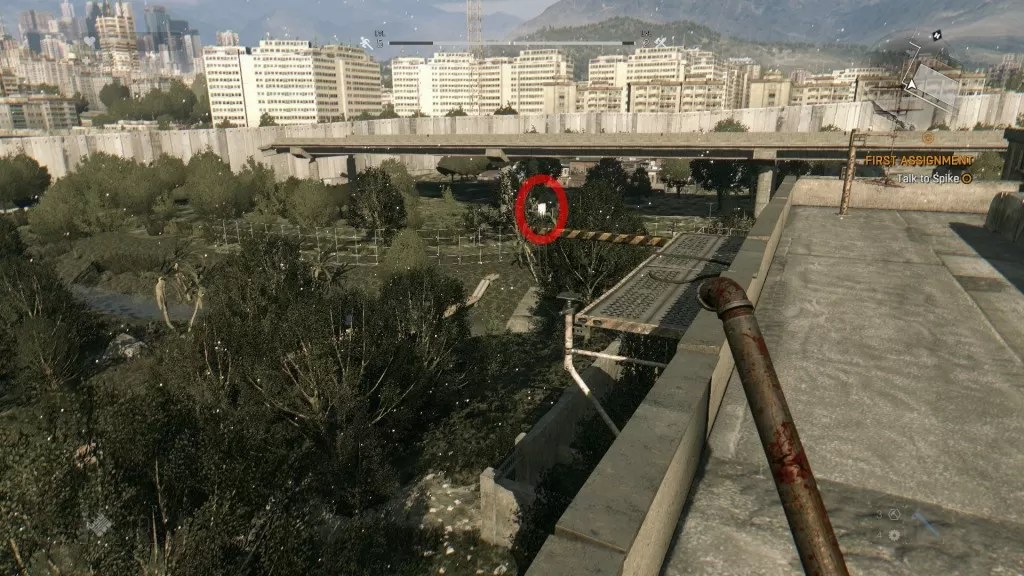 Dying Light Building Flag 3