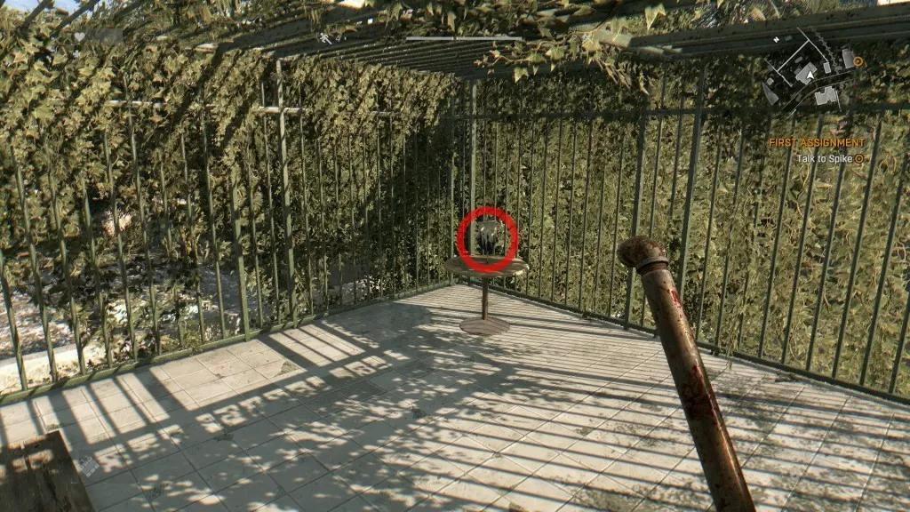 Dying Light Leaves Covered Cage Flag