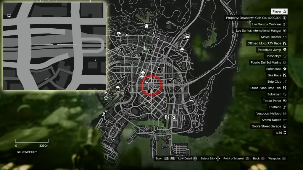 GTA 5 Downtown Monkey Mosaics