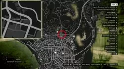 GTA 5 Downtown Vinewood Monkey Mosaics