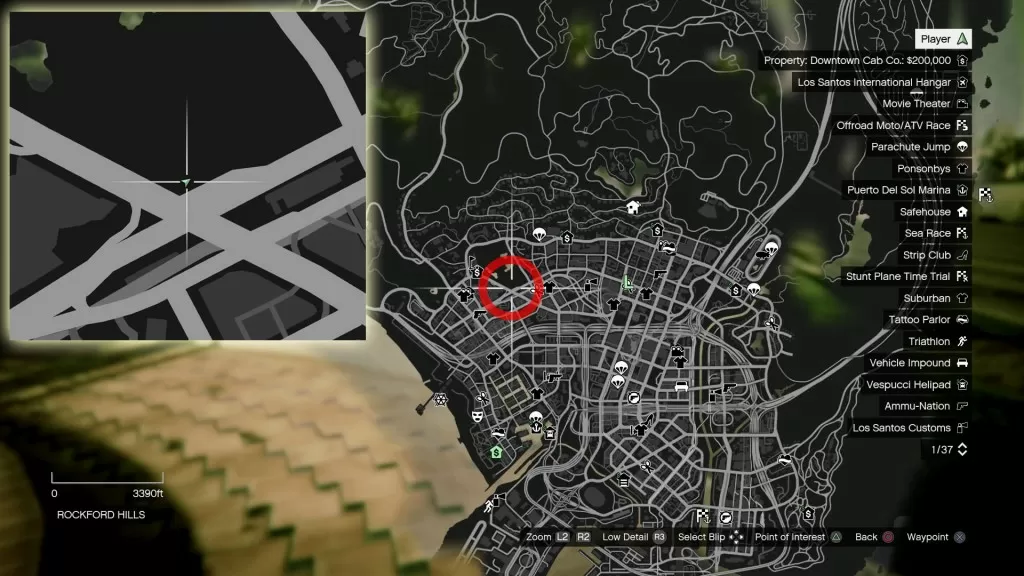 GTA 5 Rockford Hills Monkey Mosaics