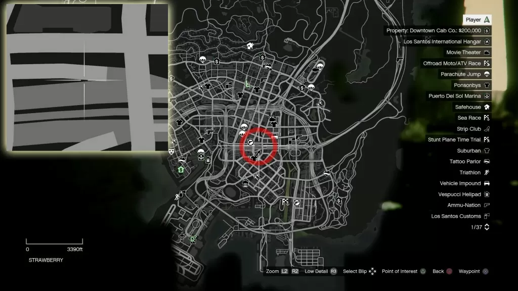 GTA V Strawberry Monkey Mosaics