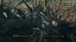 Bloodborne Amygdala Boss Nightmare Frontier