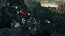 Bloodborne Fading Lake Caryll Rune