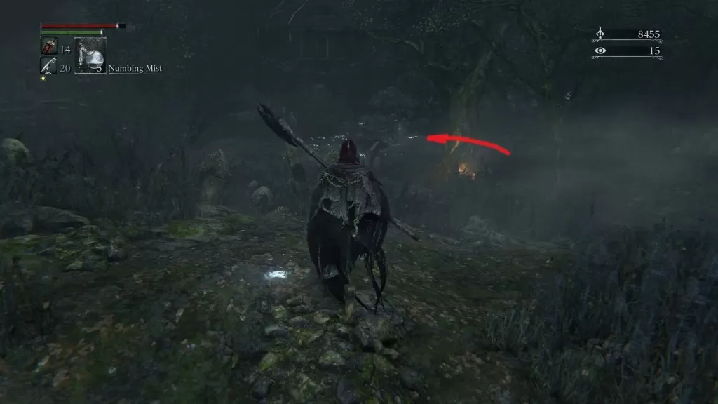 Bloodborne How to enter Forbidden Woods