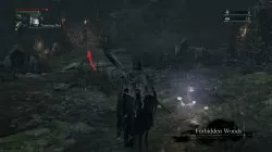 Bloodborne How to enter Forbidden Woods