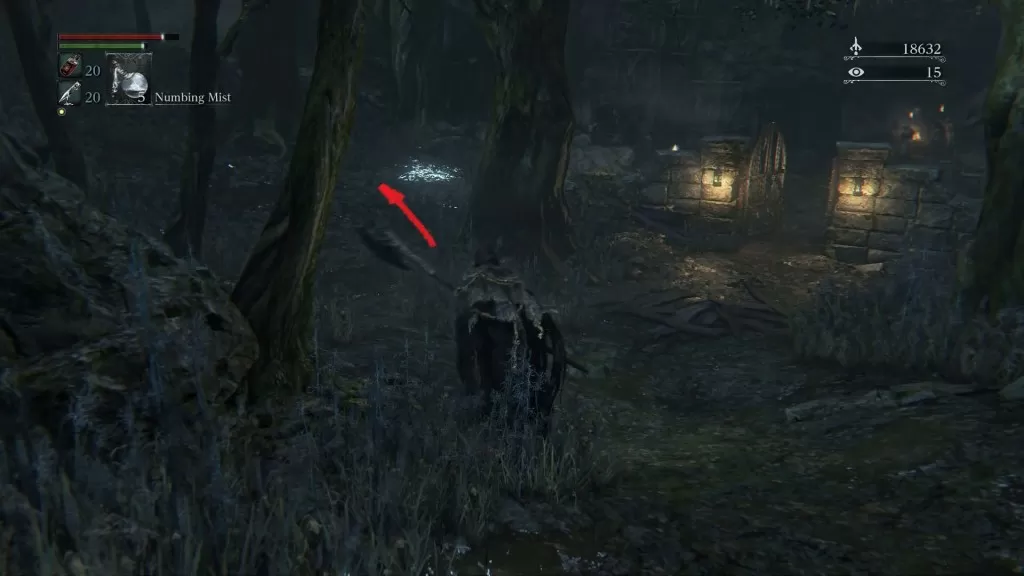 Bloodborne How to enter Forbidden Woods