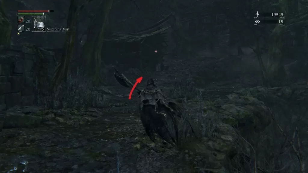 Bloodborne How to enter Forbidden Woods