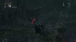 Bloodborne How to enter Forbidden Woods