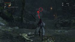 how to find bloodborne cannon 1