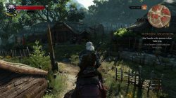 witcher 3 wild hunt in-game screenshot 1