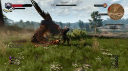 witcher 3 wild hunt in-game screenshot 5
