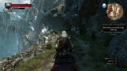 witcher 3 wild hunt in-game screenshot 6