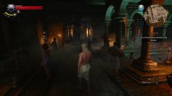 witcher 3 wild hunt in-game screenshot 4