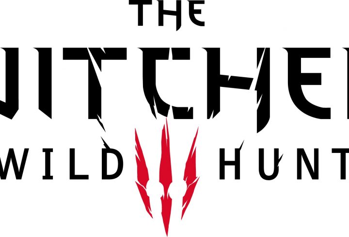 witcher 3 wild hunt interview