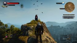 The Witcher 3 No Man's Land Place of Power