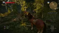The Witcher 3 Southern White Orchard Place of Power