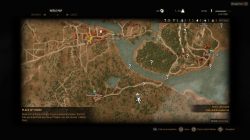 The Witcher 3 Southern White Orchard Place of Power