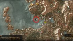 Witcher 3 Crossroads Skellige Place of Power